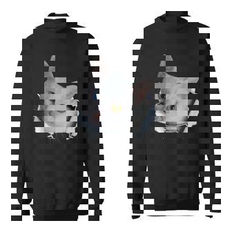 Heterochromia Eye Cat Ripped 2 Color Eyed Cat Shirt Cat Mom Sweatshirt - Monsterry