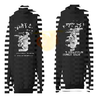I'm Not Lazy I'm Energy Efficient Sloth Sweatshirt - Monsterry
