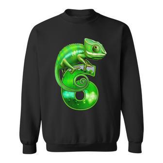 Kinder 6 Jahre Alte Eidechse 6 Geburtstag Party Chamäleon Sweatshirt - Geschenkecke