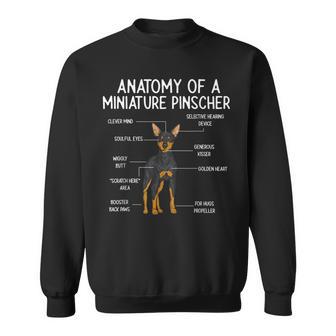 Min Pin Dog Anatomy Of A Miniature Pinscher Sweatshirt - Thegiftio UK