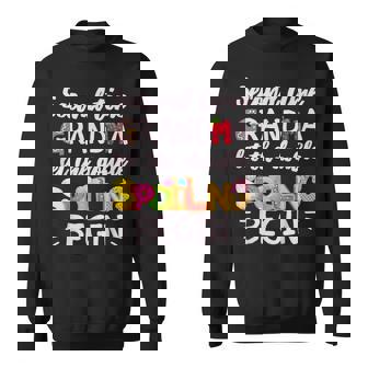 New Grandmother Second Time Grandma Let The Spoiling Begin Sweatshirt - Monsterry