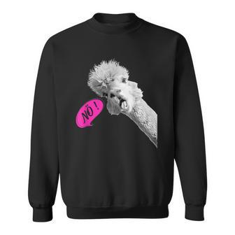 Nö Einfach Nö Talking Cute Alpaca Sweatshirt - Geschenkecke