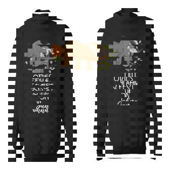 Offizielles Schlafon Johanna Nachthemd Faultier Sweatshirt - Geschenkecke