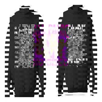 All Panic No Disco Raccoon Meme Ironic Goofy Ahh Meme Sweatshirt - Monsterry