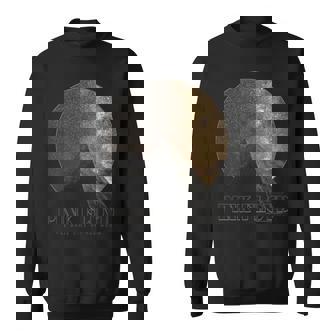 Pink Floyd Le Côté Obscur De La Lune Pyramide Cercle Sweater e - Cadeauxyz