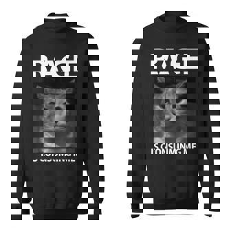 Rage Is Consuming Me Silly Staring Cat Meme Sweatshirt - Monsterry