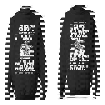 Sorry I Cant My T Is In Pre-Molt Tarantula Bird Spider Sweatshirt - Monsterry
