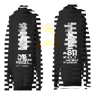 Sorry My Guinea Pig Ate My Homework Guinea Pig School Sweatshirt - Monsterry