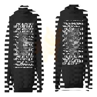 Spinning Cat Meme Oiiaoiia Cat Meme Sweatshirt - Geschenkecke