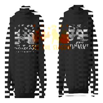 Tis The Season Great Dane Dog Fall Autumn Pumpkin Coffee Sweatshirt - Monsterry