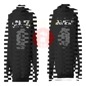 Vacuum Tube Amp Analogueintage Retro 80S 90S Sweatshirt - Geschenkecke
