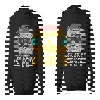 Vintage Best Cat Dad Ever Cat Daddy Drôle Sweater e - Cadeauxyz