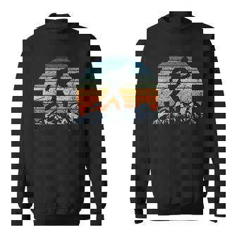 Winter Sports Vintage Sunset Cross-Country Skiing Sweatshirt - Monsterry