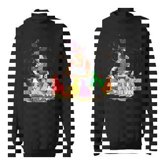 Witch Feeding Ducks Ghost Farm Farmer Halloween Costume Sweatshirt - Monsterry