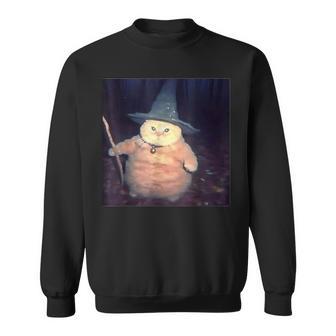 Wizard Cat Weird Halloween Cat Meme Sweatshirt - Monsterry