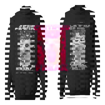 Zertifiziertes Freak Cat Meme Sweatshirt - Geschenkecke