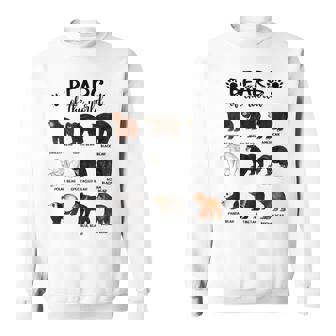 Bears Of The World Bears Sweatshirt - Monsterry