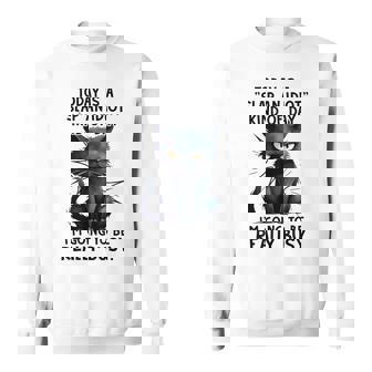 Cat Today Is A Slap An Idiot Kind Of Day I'm Going To Busy Sweatshirt - Monsterry
