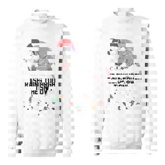Dessin D'opossum Pour Faux Chat Dessins De Rat Et De Raton L Sweater e - Cadeauxyz
