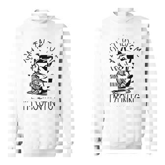Don't Talk To Me I'm Counting Cat Crochet Knitting Sweatshirt - Thegiftio UK