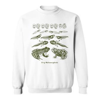 Frog Tadpole Life Cycle Metamorphosis Biology Science Sweatshirt - Geschenkecke