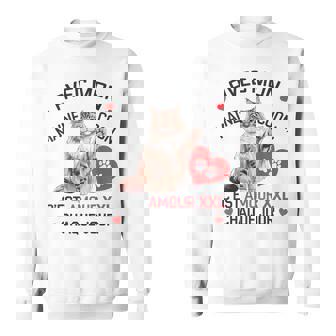 Maine Coon Cadeau Propriétaire Maine Coon Humour Chat Mignon Sweater e - Cadeauxyz