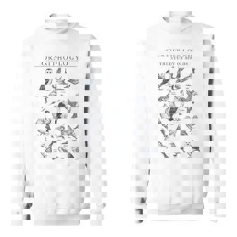 Ornithology The Study Of Birds Sketch Sweatshirt - Monsterry