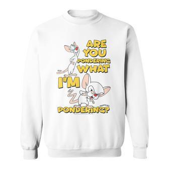 Pinky And The Brain Pondering Gray Sweatshirt - Geschenkecke