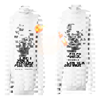 Tastes Again X Raccoon Meme Racoon X Pedro Spritz Sweatshirt - Geschenkecke