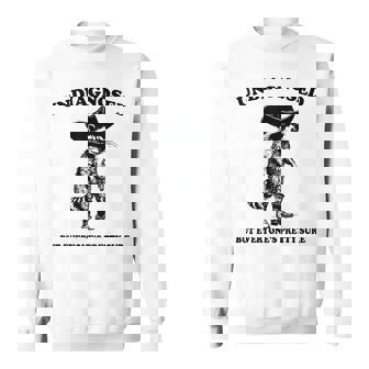 Undiagnosed But Everyone's Pretty Sure Cowboy Raccoon Sweatshirt - Monsterry