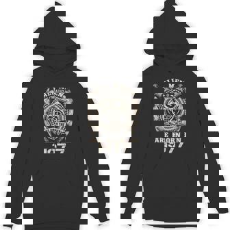 1977 All Men Are Created Equal Hoodie | Mazezy