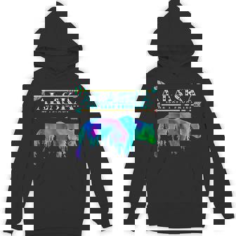 Alaska State Pride Alaska Northern Lights Alaskan Bear Unisex Hoodie - Monsterry