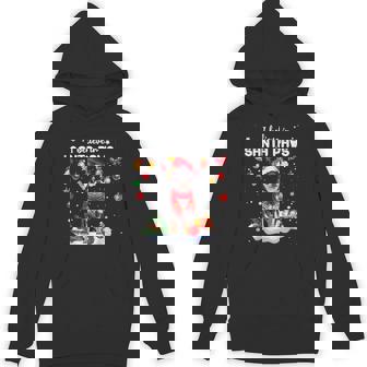 I Believe In Santa Paws Chihuahua Cute Christmas Unisex Hoodie - Monsterry