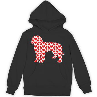 Bernedoodle Dog Hearts Valentine For Pet Lovers Unisex Hoodie - Monsterry