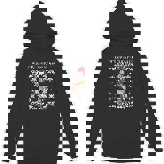 Bird Merry Christmas Ornament Western Screech-Owl Ugly Xmas Unisex Hoodie - Monsterry