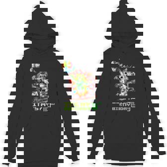 Birthday Boy 6Th Birthday I'm 6 Year Old Gamer Number Hoodie | Mazezy