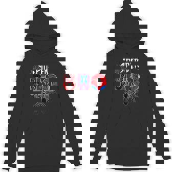 Boy Spider Brother Matching Family Birthday Boy Hoodie | Mazezy