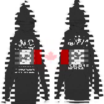Canada Is Not For Sale It's Priceless Sovereign & Strong Hoodie | Mazezy