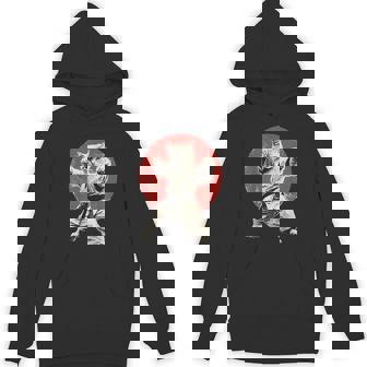 Cat Karate Judo Japan Japanese Flag Graphic Hoodie - Seseable