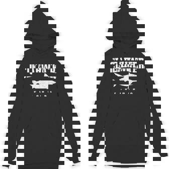 Clearwater Beach Florida Shark Scuba Diving Vintage Unisex Hoodie - Monsterry