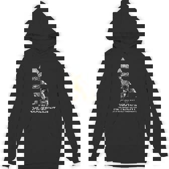 Conspiracy Cat Tin Foil Hat Government Men Unisex Hoodie - Monsterry