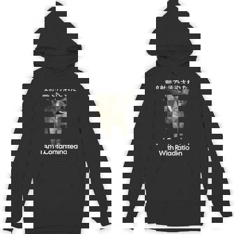 I Am Contaminated With Radiation Cat Meme Hoodie - Seseable