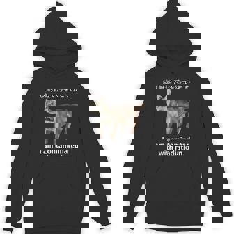 I Am Contaminated With Radiation Japanese Cat Meme Hoodie - Thegiftio