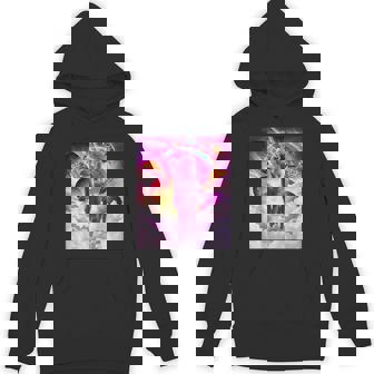 Cosmic Cat Riding Alpaca Unicorn Unisex Hoodie - Monsterry