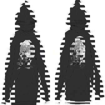 Cute Raccoons Howling At The Moon Cool Raccoon Moon Graphic Premium Unisex Hoodie - Monsterry
