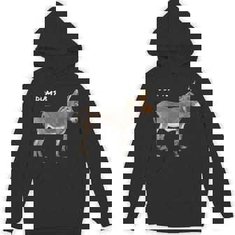 Dumb Stupid Not Smart Donkey Graphic Unisex Hoodie - Monsterry