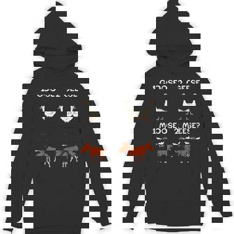English Teacher Grammar Instructor Reading Singular Plural Unisex Hoodie - Monsterry