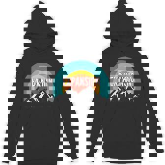 Expansion Vintage Retro Sunset Unisex Hoodie - Monsterry