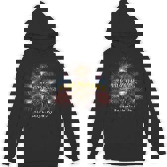Fireworks Artistry In The Sky Pyro Explosion Pyrotechnician Unisex Hoodie - Monsterry