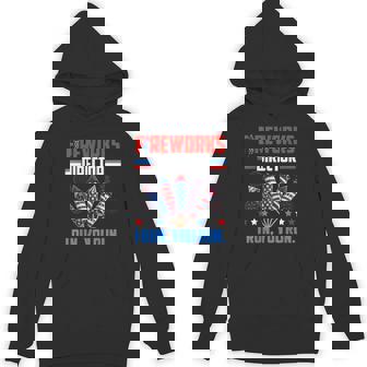Fireworks Director If I Run You Run 4th Of July Patriotic Unisex Hoodie - Monsterry